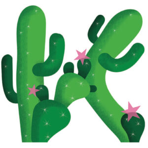THE PINK DESERT COLLECTION